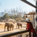 杭州旅游 缩略图 8