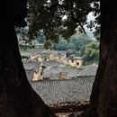 丽水旅游 缩略图 1