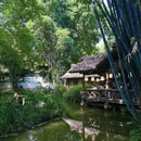 成都旅游 缩略图 2