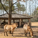 杭州旅游 缩略图 12