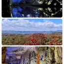 广州旅游 缩略图 1
