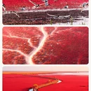 广州旅游 缩略图 2