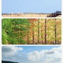 广州旅游 缩略图 4