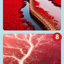 潍坊旅游 缩略图 4