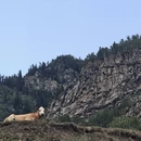 乌鲁木齐旅游 缩略图 3