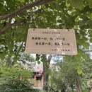 西安旅游 缩略图 6