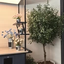 西安旅游 缩略图 4