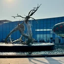 上海旅游 缩略图 13