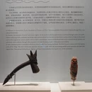 深圳旅游 缩略图 15
