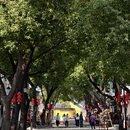 苏州旅游 缩略图 2