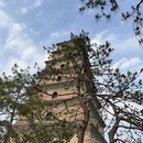 西安旅游 缩略图 3