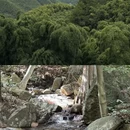 六盘水旅游 缩略图 4