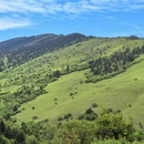 乐山旅游 缩略图 9