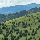 乐山旅游 缩略图 5