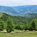乐山旅游 缩略图 4