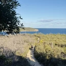 悉尼旅游 缩略图 15