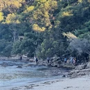 悉尼旅游 缩略图 17