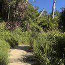 悉尼旅游 缩略图 11