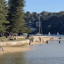 悉尼旅游 缩略图 3