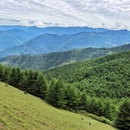 乐山旅游 缩略图 6