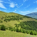 乐山旅游 缩略图 11