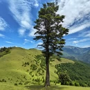 乐山旅游 缩略图 2
