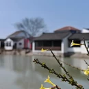 苏州旅游 缩略图 6