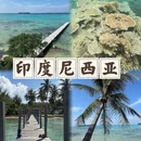重庆旅游 缩略图 2