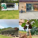 湖州旅游 缩略图 4