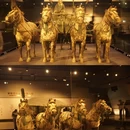 西安旅游 缩略图 7