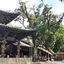 太原旅游 缩略图 6