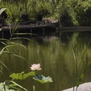 北京旅游 缩略图 6