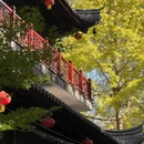 南京旅游 缩略图 6