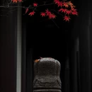 南京旅游 缩略图 5