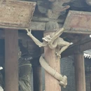太原旅游 缩略图 7