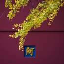 南京旅游 缩略图 4