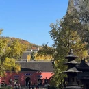 南京旅游 缩略图 4