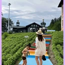 宁乡市沙田中学 - 长沙市旅游 缩略图 3