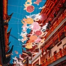 上海旅游 缩略图 2