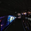 上海旅游 缩略图 7