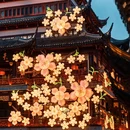 上海旅游 缩略图 6