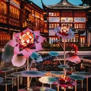 上海旅游 缩略图 3