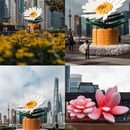 上海旅游 缩略图 13