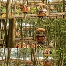 广州旅游 缩略图 9