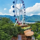 广州旅游 缩略图 5