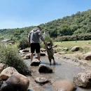 南京旅游 缩略图 11