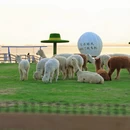 苏州旅游 缩略图 2