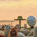苏州旅游 缩略图 5