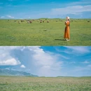 巴卡台 - 海南藏族自治州旅游 缩略图 3