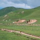 巴卡台 - 海南藏族自治州旅游 缩略图 9